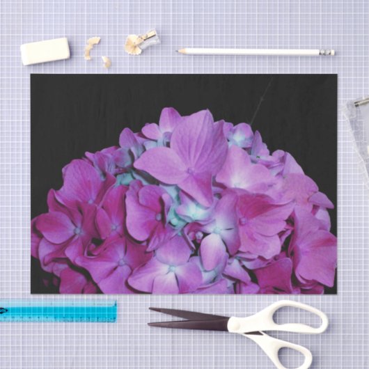 Magenta Hydrangeas Tissuepapier (Craft)