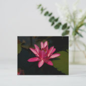 Magenta Lotus Waterlily Briefkaart (Staand voorkant)