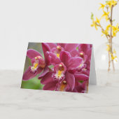 Magenta Orchids Blank Note Kaart (Gele Bloem)