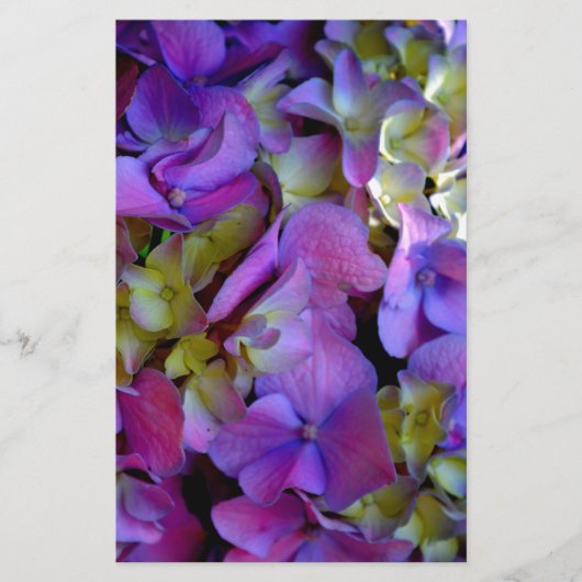 Magenta Paars blauw Hydrangeenbloemen Briefpapier (Voorkant)