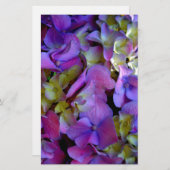 Magenta Paars blauw Hydrangeenbloemen Briefpapier (Voorkant / Achterkant)