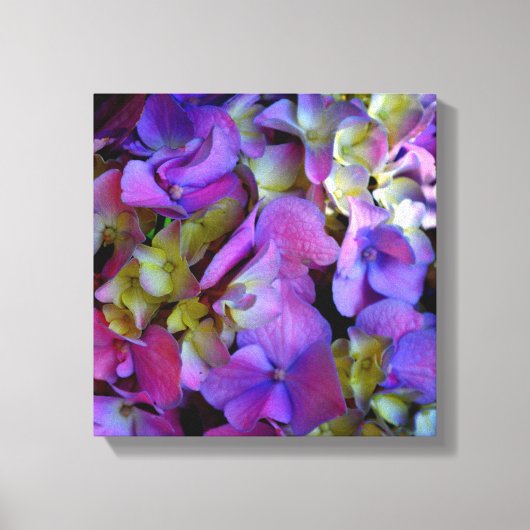 Magenta Paars blauw Hydrangeenbloemen Canvas Afdruk (Voorkant)