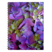 Magenta Paars blauw Hydrangeenbloemen Notitieboek (Voorkant)