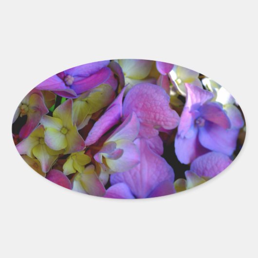 Magenta Paars blauw Hydrangeenbloemen Ovale Sticker (Voorkant)