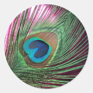 Magenta Peacock Ronde Sticker