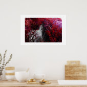 Magenta Poster (Keuken)