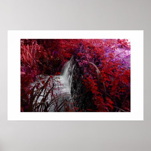 Magenta Poster (Voorkant)