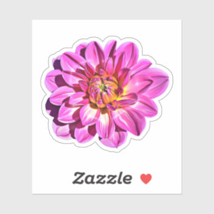 Magenta roze Giant Dahlia Flower Sticker