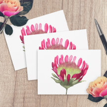 Magenta Roze Koning Protea Bloem