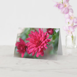Magenta Roze Mum Flowers Art Note Kaart