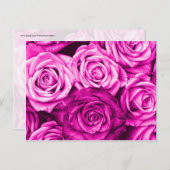  Magenta roze rozen bloemkool Briefkaart (Voorkant / Achterkant)