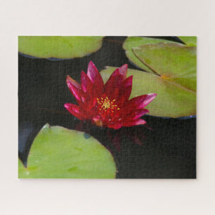 Magenta Waterlily Jigzaag Puzzle Legpuzzel