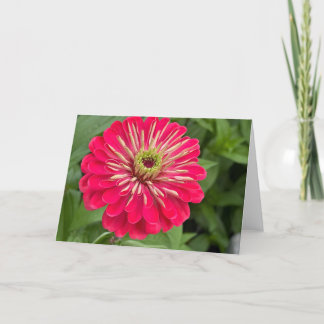 Magenta Zinnia Blank Note Card Bedankkaart