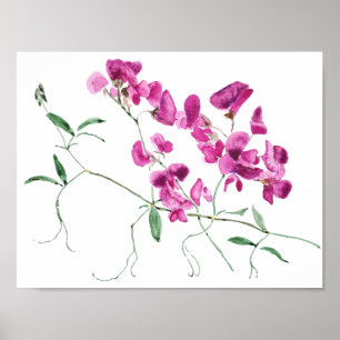 magenta zoete erwten bloemen waterverf poster