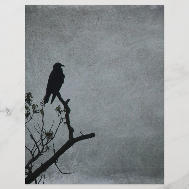 Magestic Crow (Voorkant)