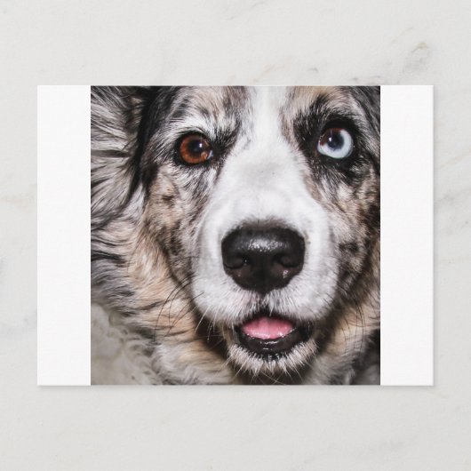 Maggie Briefkaart (Voorkant)