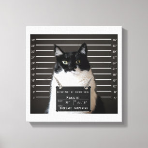 Maggie Cat Mok Shot Canvas Afdruk
