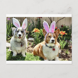 Maggie & Chuck Briefkaart