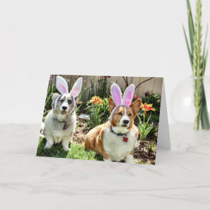 Maggie & Chuck Holiday Kaart