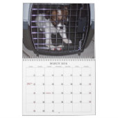 Maggie Mae 2010 Agenda Kalender (Mar 2026)