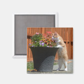 Maggie May & Bloemen Magneet (Voorkant / Achterkant)