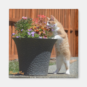 Maggie May & Flowers Magneet