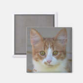 Maggie May Magnet Magneet (Voorkant / Achterkant)