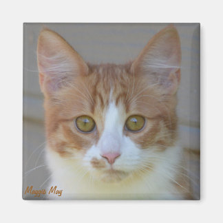 Maggie May Magnet Magneet