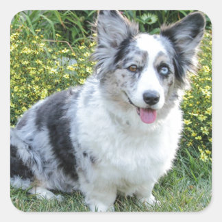 Maggie Mine Vierkante Sticker