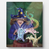 Magic Act Rabbits uit het Pet Fotoplaat (Voorkant)