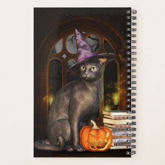 Magic Black Cat Planner (Dos)