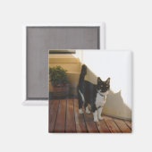 Magic Cat - Gepersonaliseerd Magneet (Voorkant / Achterkant)