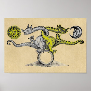 Magic Gold en Silver Dragons Poster
