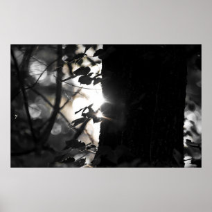 Magic Hour Sunrise tussen de bomen Poster