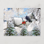 "Magic in Harness" Briefkaart (Voorkant)