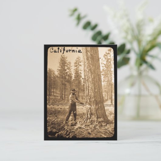 Magic Lantern Logging in the Butte Valley, CA Briefkaart (Staand voorkant)