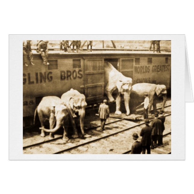 Magic Lantern Slide Ringling Bros Elephant Train (Voorkant Horizontaal)