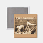 Magic Lantern Slide Ringling Bros Elephant Train Magneet (Voorkant / Achterkant)