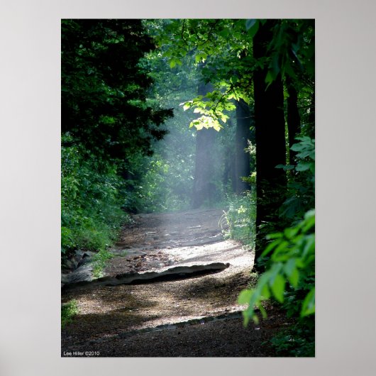 Magic Morning Light op Forest Trail Poster (Voorkant)