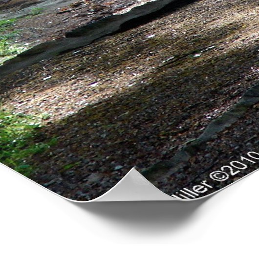 Magic Morning Light op Forest Trail Poster (Hoek)