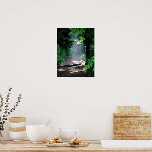Magic Morning Light op Forest Trail Poster (Keuken)
