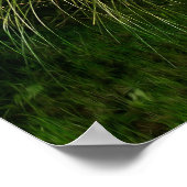 Magic Summer Garden Poster (Hoek)