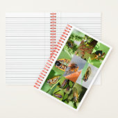 Magicada Cicada Notitieboek voor 2024 (Binnen)