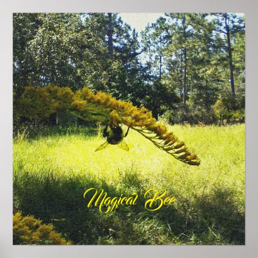 Magical Bee, Bee Poster, Bee en Flowers Poster, Poster (Voorkant)