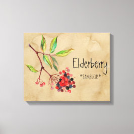 Magical Flowers Elderberry 16,14' x 12,86' Canva Canvas Afdruk