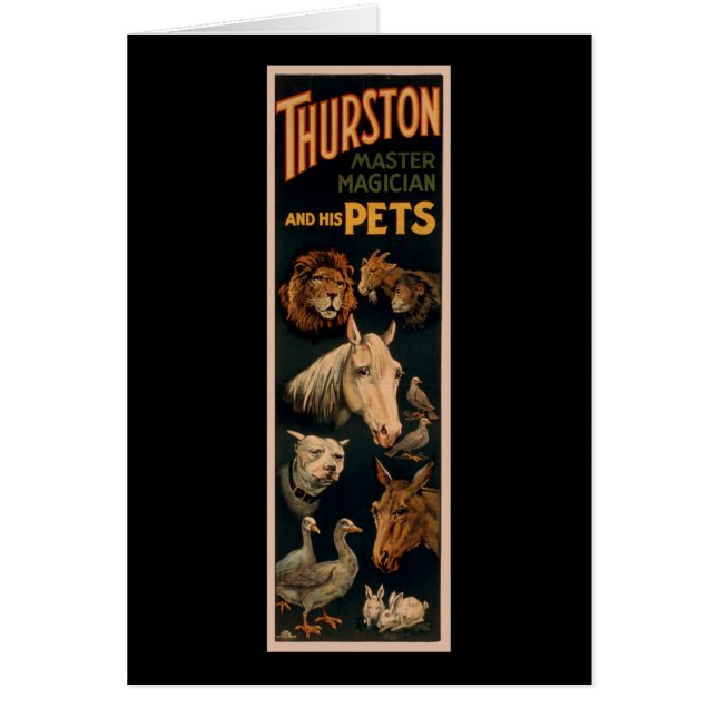 Magicien principal de Thurston et ses animaux (Devant)