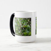 Magique Écureuil masquant la Mug (Devant gauche)