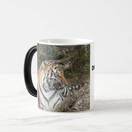Magique Tiger Mug (Devant gauche)