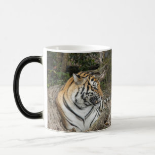 Magique Tiger Mug