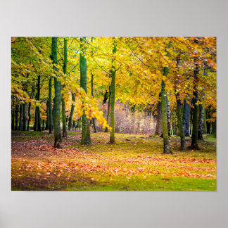Magisch herfstbos poster